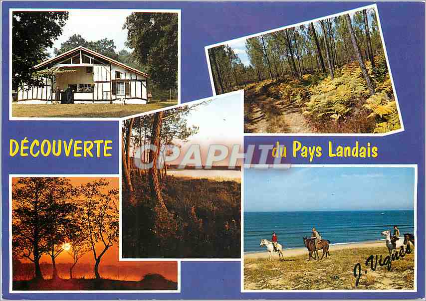 CPM Visage des Landes Maison Landaise Crepuscule sur un etang Chemin en foret 