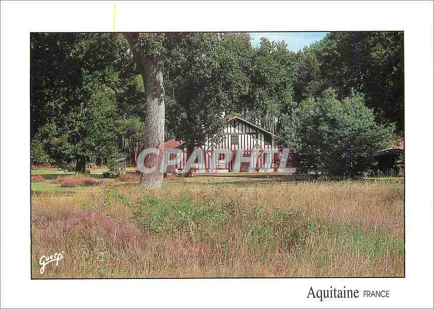 CPM Paysages des Landes Maison Landaise 