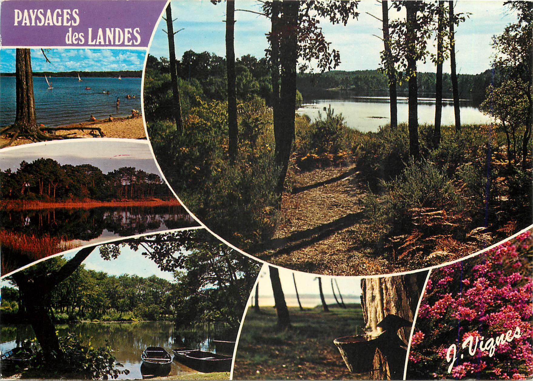 CPM Visage des Landes La douceur des Landes 