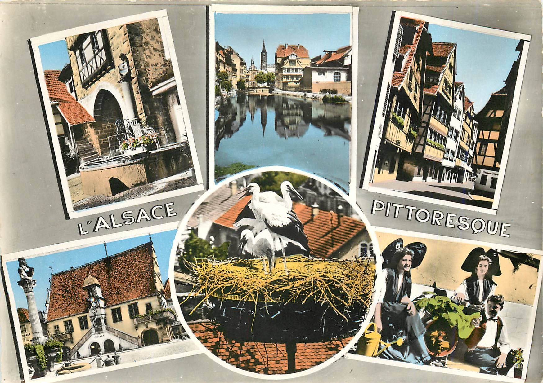 CPM L'Alsace Pittoresque Riquewihr Fontaine et porte du Dolder Strasbourg La Cathedrale Maison Alsac