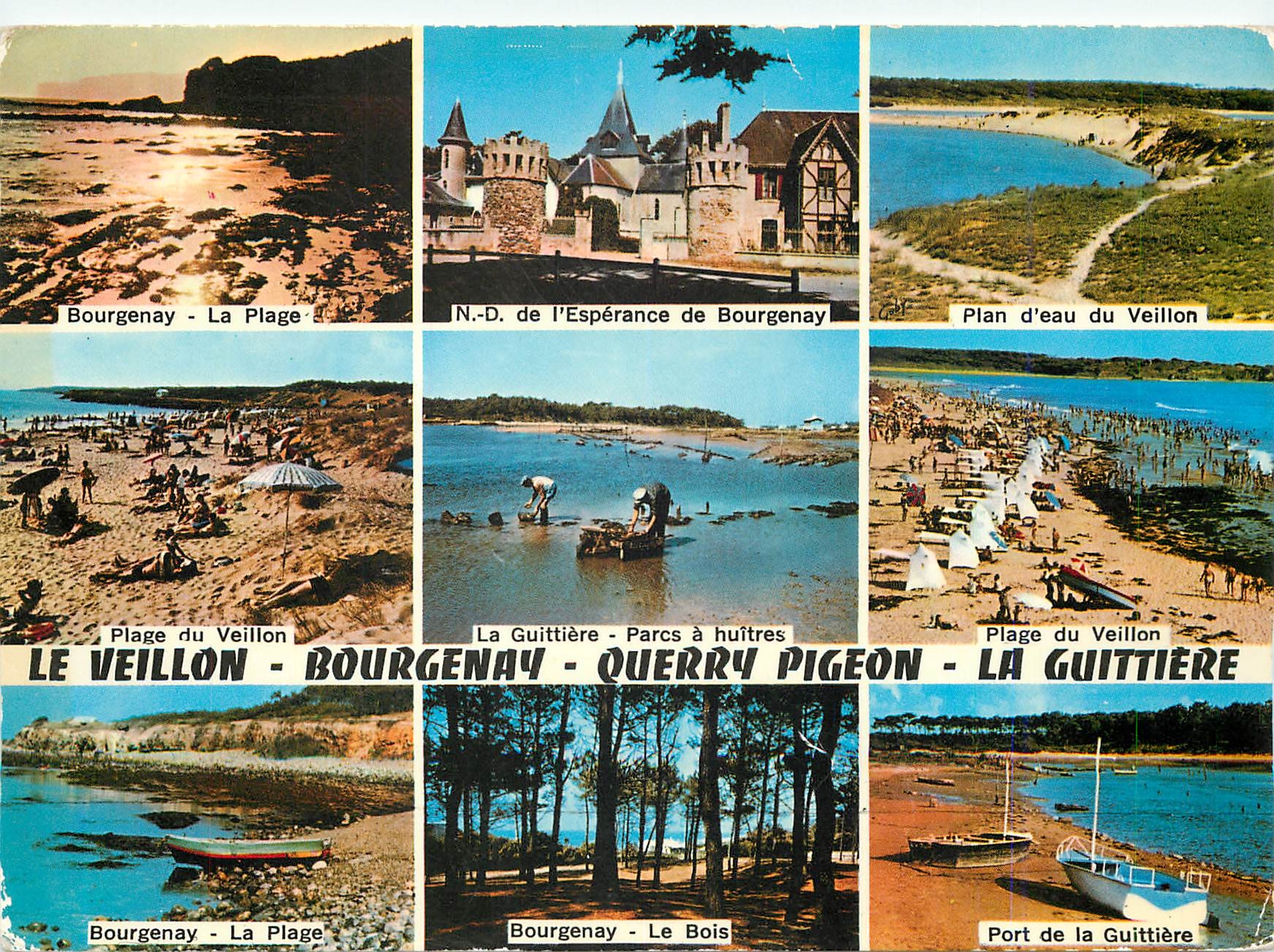 CPM Le Veillon Bourgenay Querry Pigeon La Guittiere Vendee 