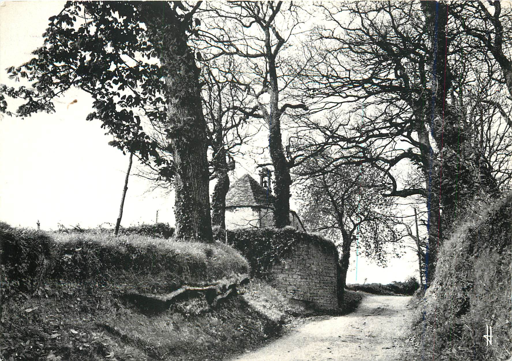 CPM Bretagne Pittoresque Le Charme un peu mysterieux des chemins creux 