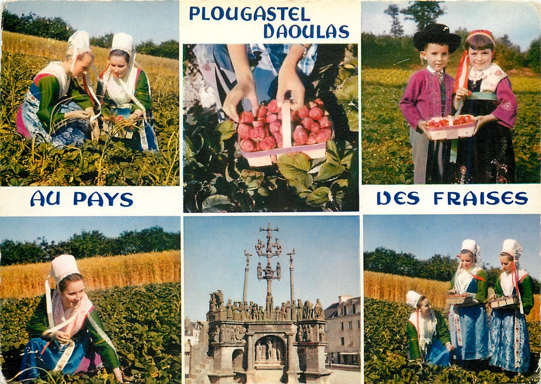 CPM Plougastel Daoulas au Pays des Fraises 