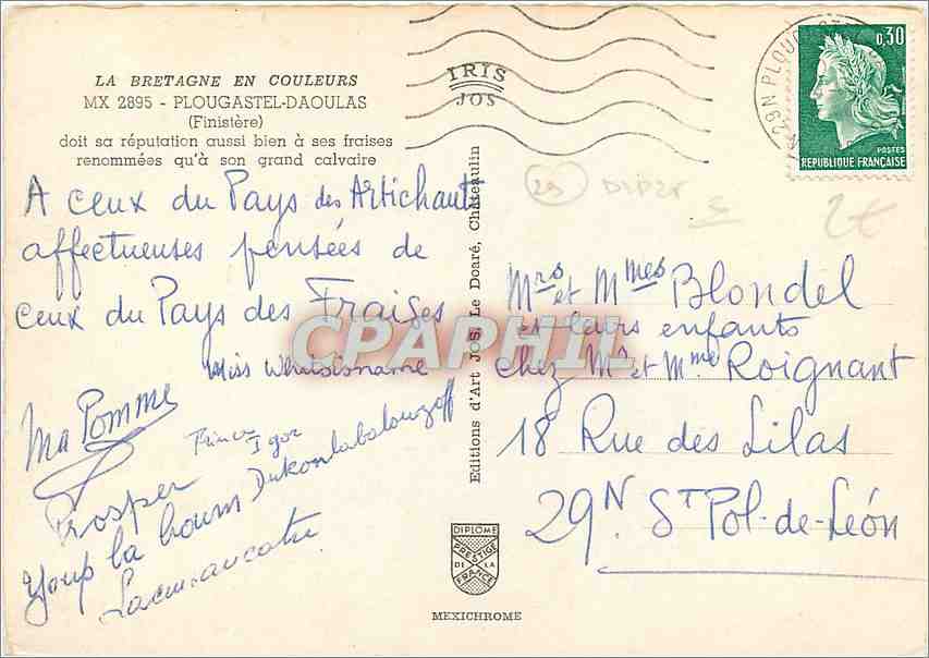 CPM Plougastel Daoulas au Pays des Fraises  — Rückseite