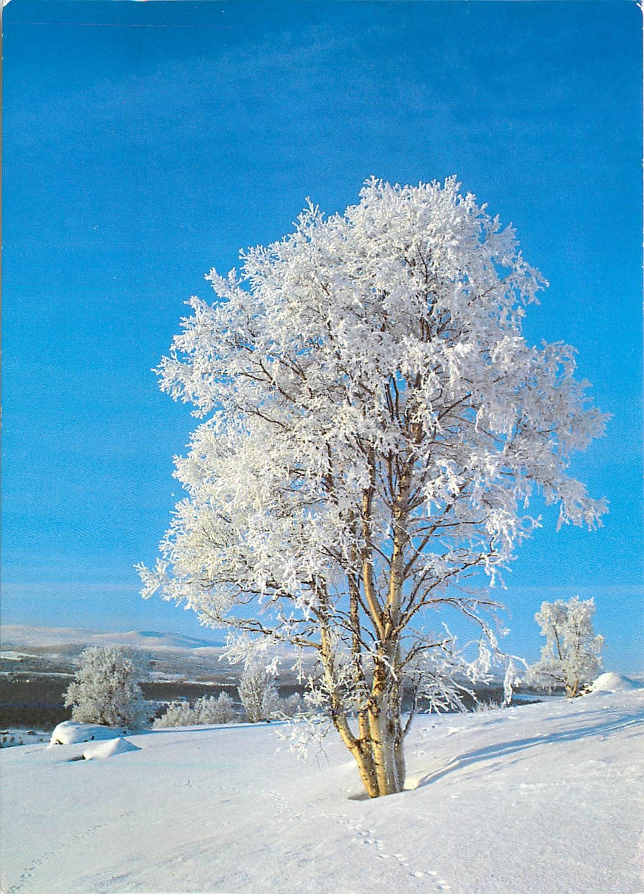 CPM Norway Winter in Norway 