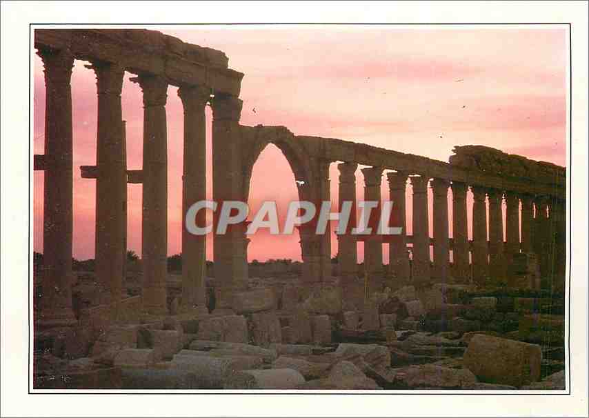 CPM Syrie La grande colonnade de Palmyre 