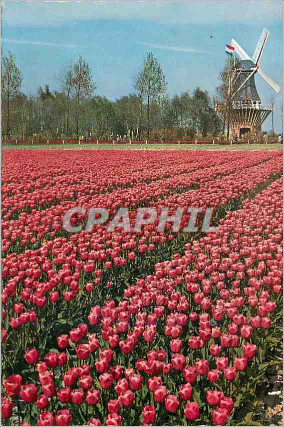 CPM Keukenhof Lisse Holland 