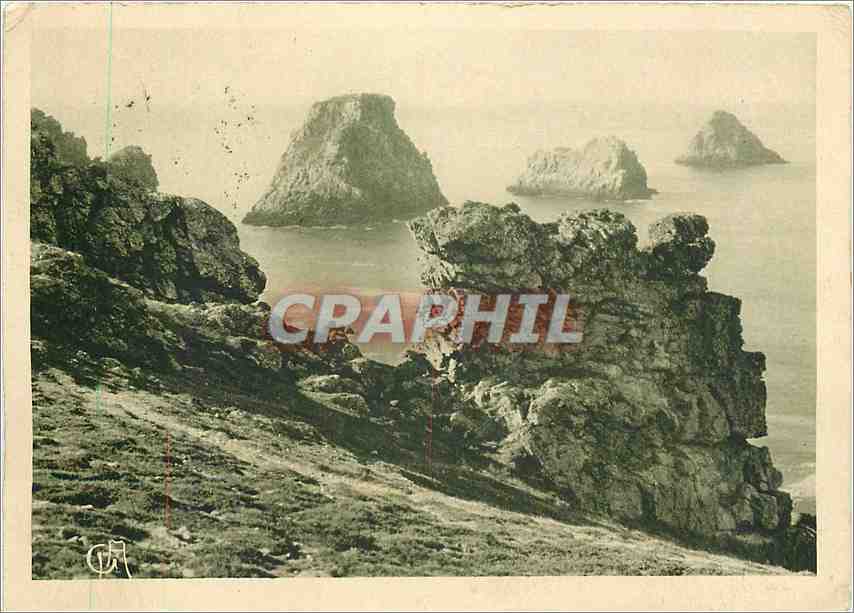 CPM Camaret sur Mer Finistere Les Tas de Pois 