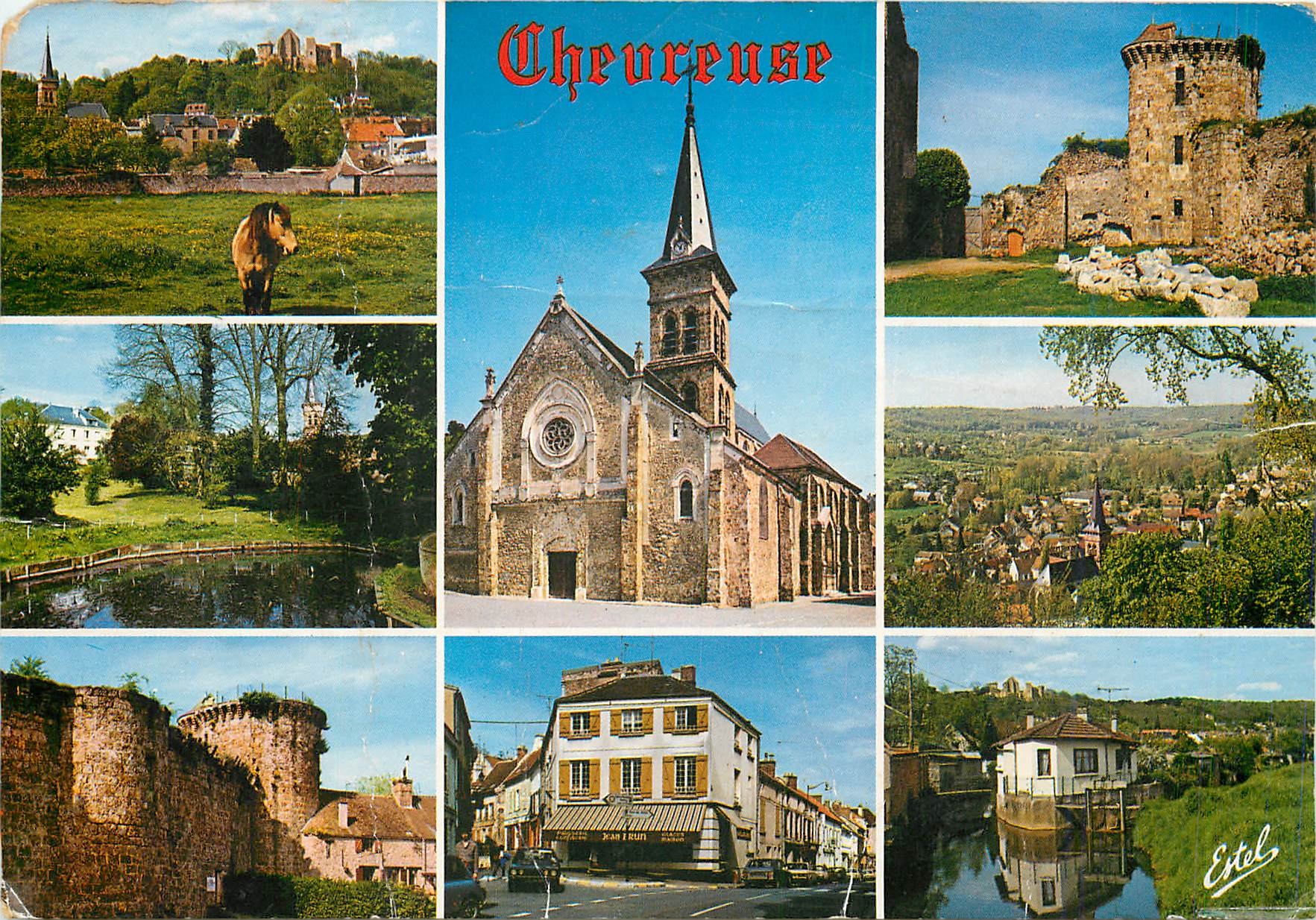 Chevreuse — vue générale, église Saint-Martin, château de la Madeleine, rue de la Division Leclerc — Éditeur Estel, n° 19652 R