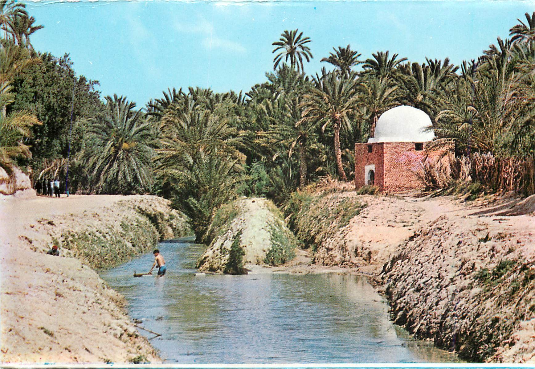CPM Tozeur Riviere et marabout dans l'oasis 