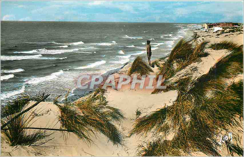 CPM Fort Mahon Somme Ilot Sud et les Dunes 
