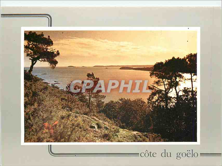 CPM Cote du goelo Panorama sur la baie de Paimpol 