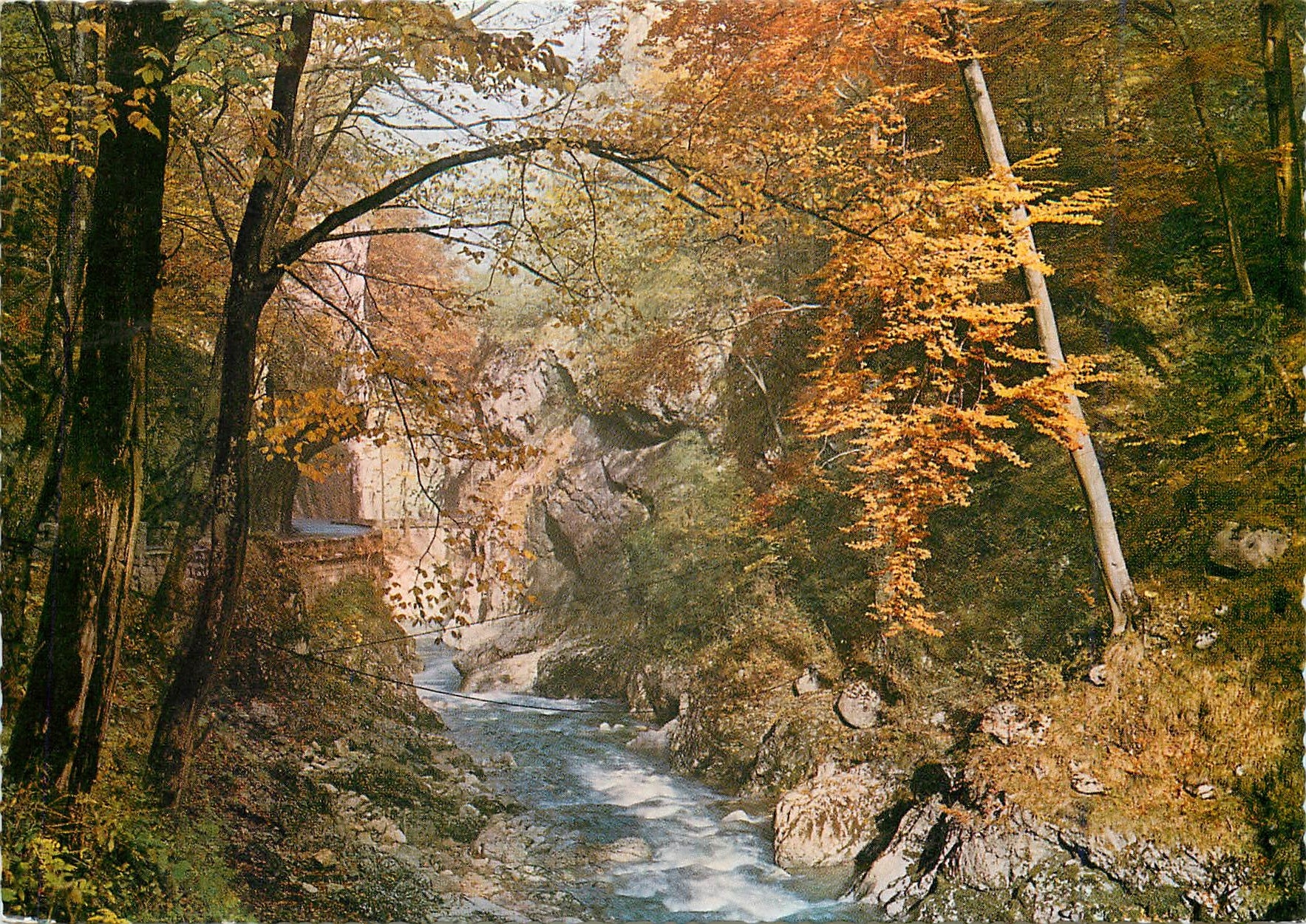 CPM Dans les Alpes Route et torrent en automne 