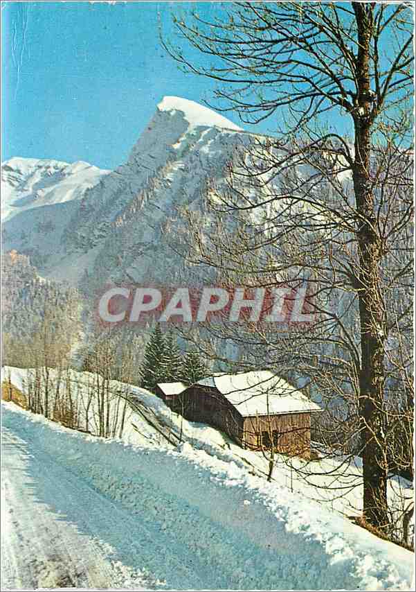 Les Hauts-Forts — vue panoramique — Editions La Capitale