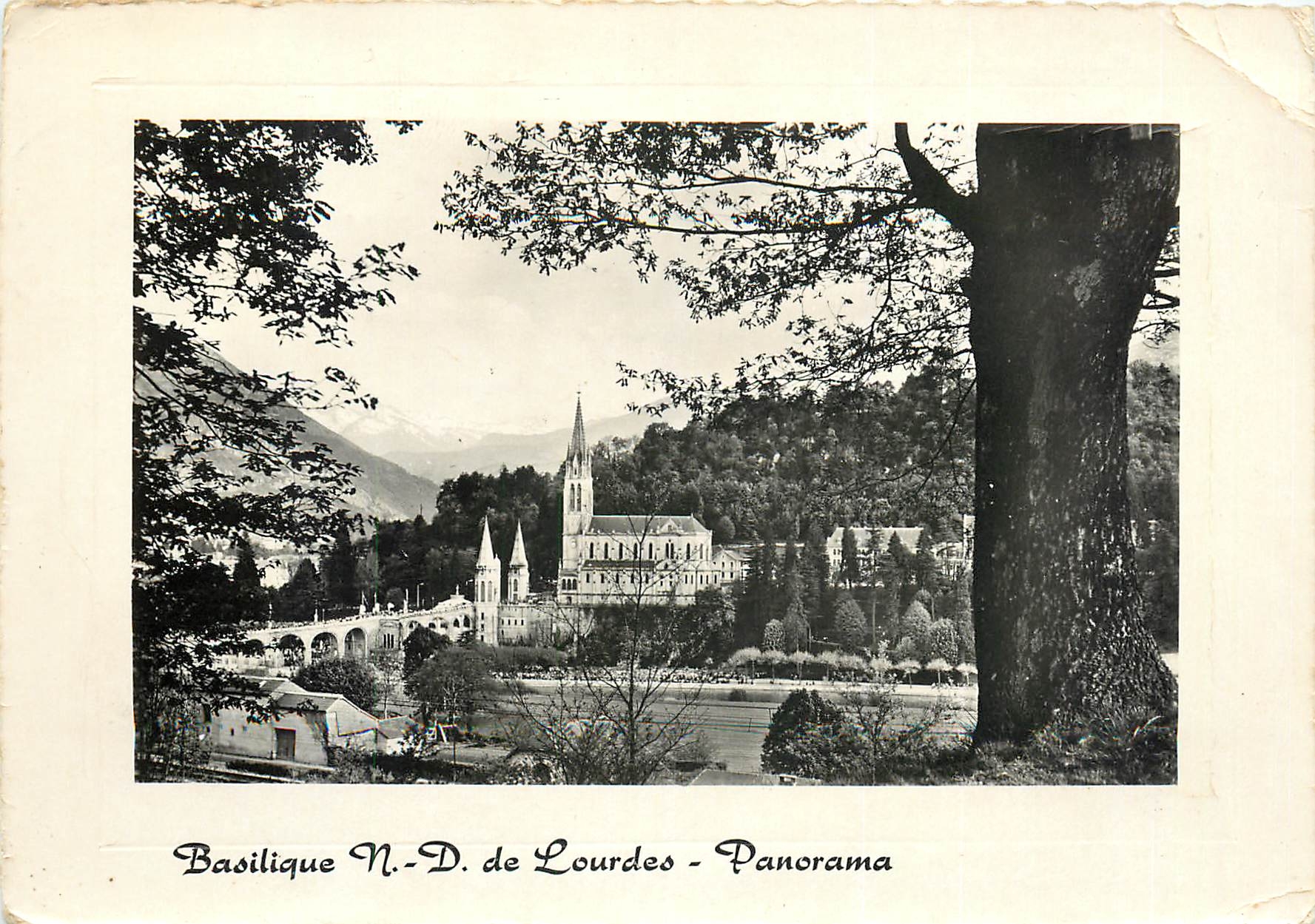 CPM Basilique ND de Lourdes Panorama 
