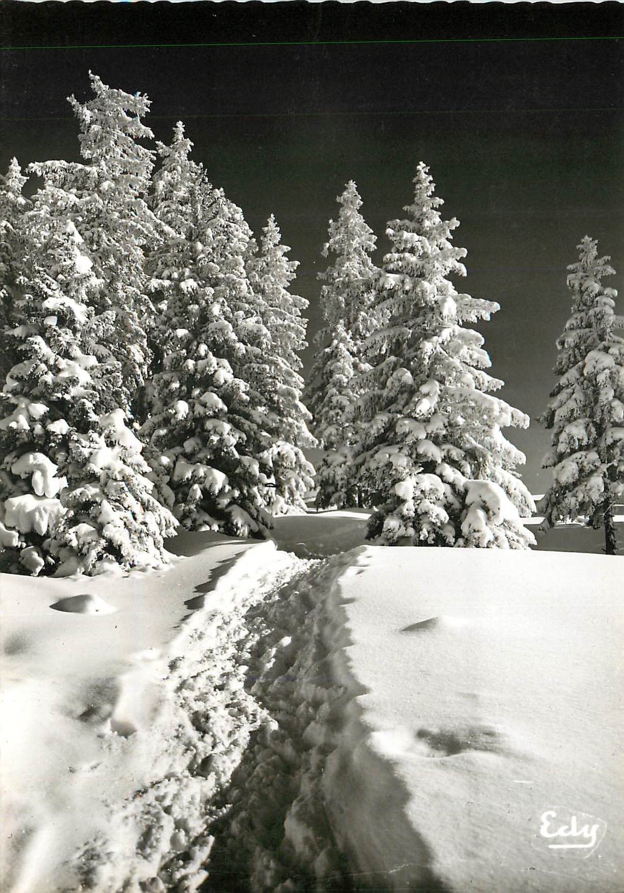 CPM Image de chez nous en hiver La Foret sous la neige 