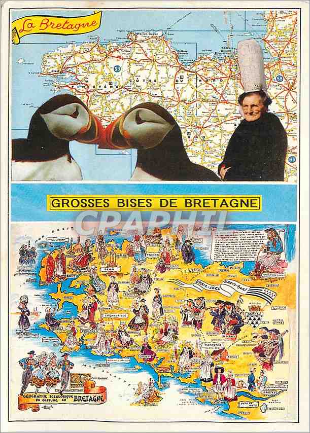 CPM La Bretagne Grosses Bises de Bretagne 