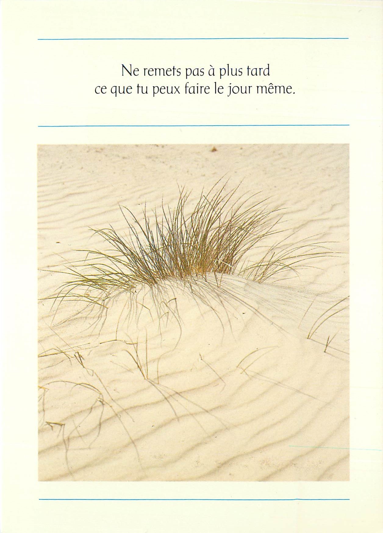 CPM Ne remet pas a plus tard ce que tu peux faire le jour meme 