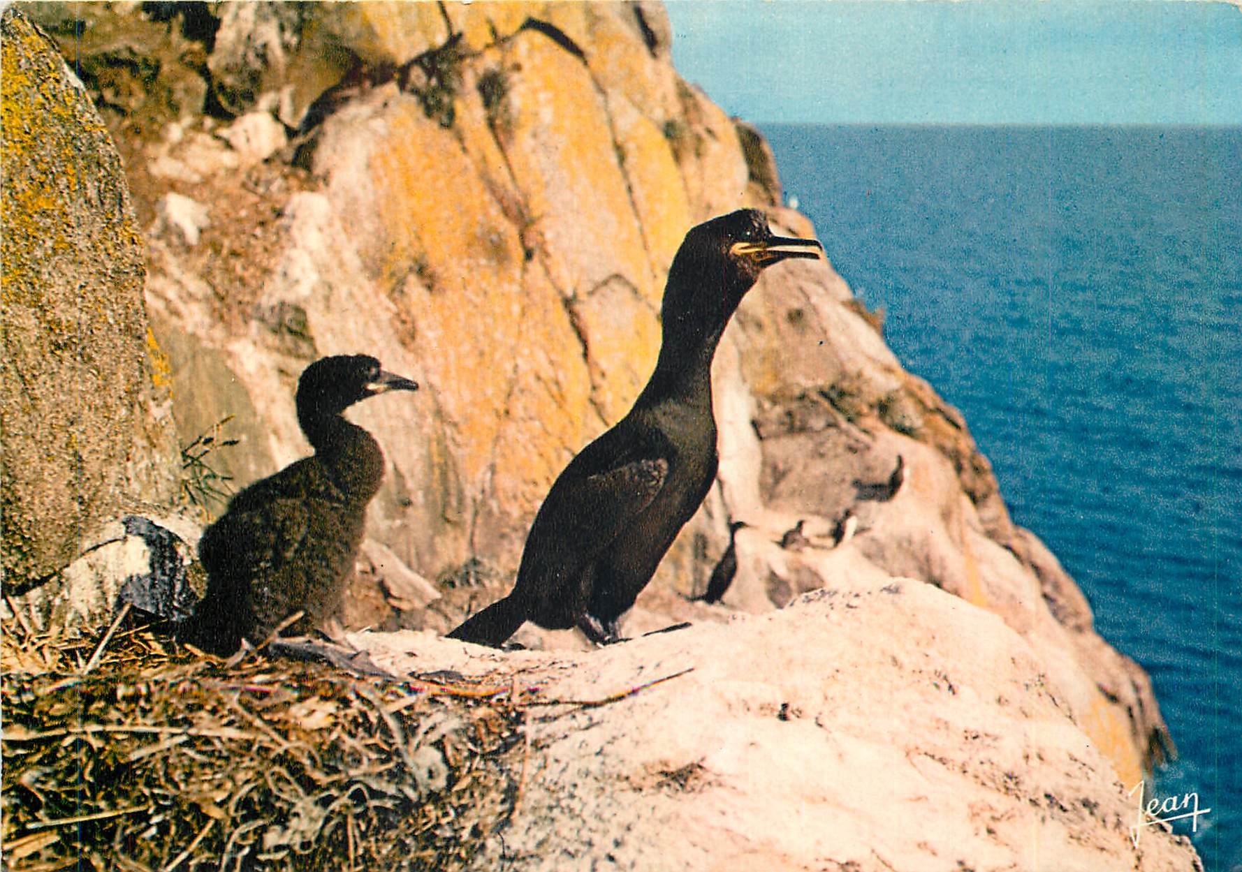 CPM Reserves naturelles de la Societe pour l'Etude et la Protection de la Nature en Bretagne 