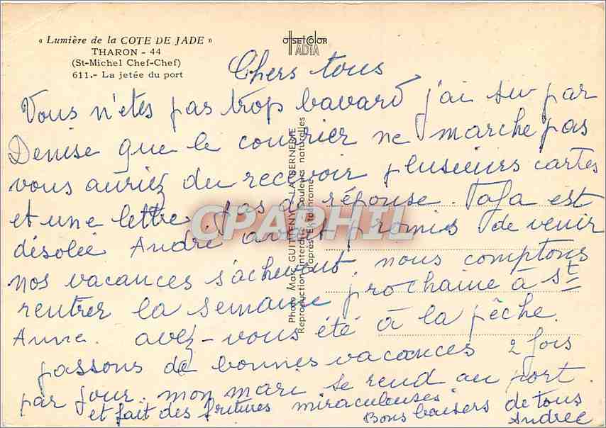 CPM Tharon St Michel Chef Chef La jetee du port  — Back