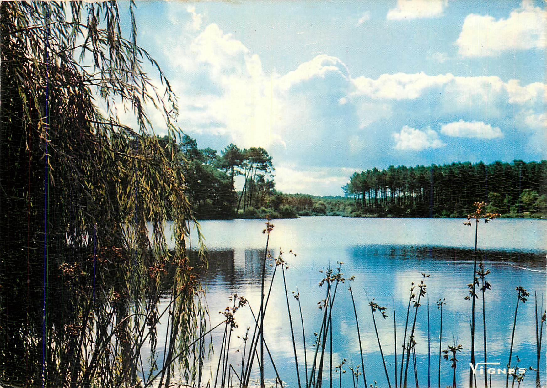 CPM Visage des Landes Etang d'Uza Mais ta mission d'un jour prend corps et s'illumine 