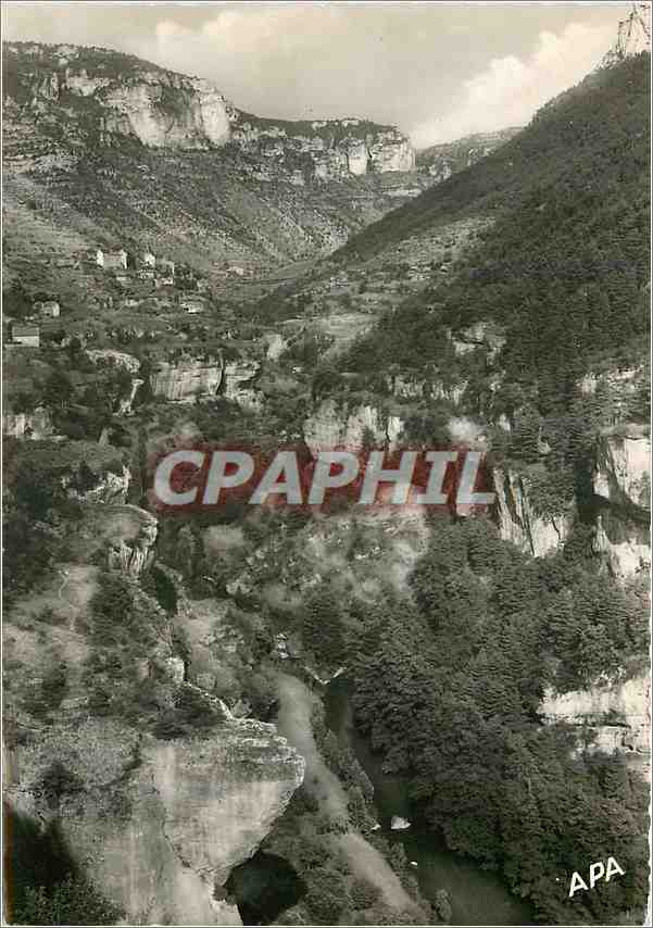 Gorges du Tarn — Panorama des terrasses dans la vallée de la Jonte, au fond Le Truel — APA - POUX - Albi