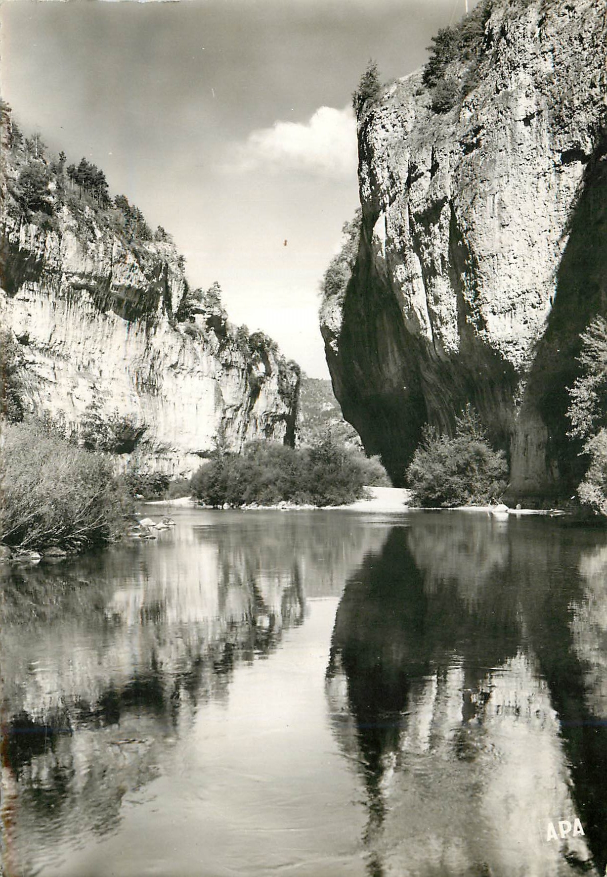 CPM En Parcourant Les Gorges du Tarn Les Detroits 
