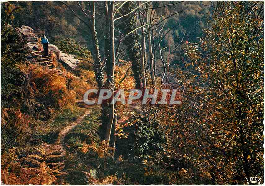 CPM Correze Pittoresque Aubazine Le Canal des Moines 