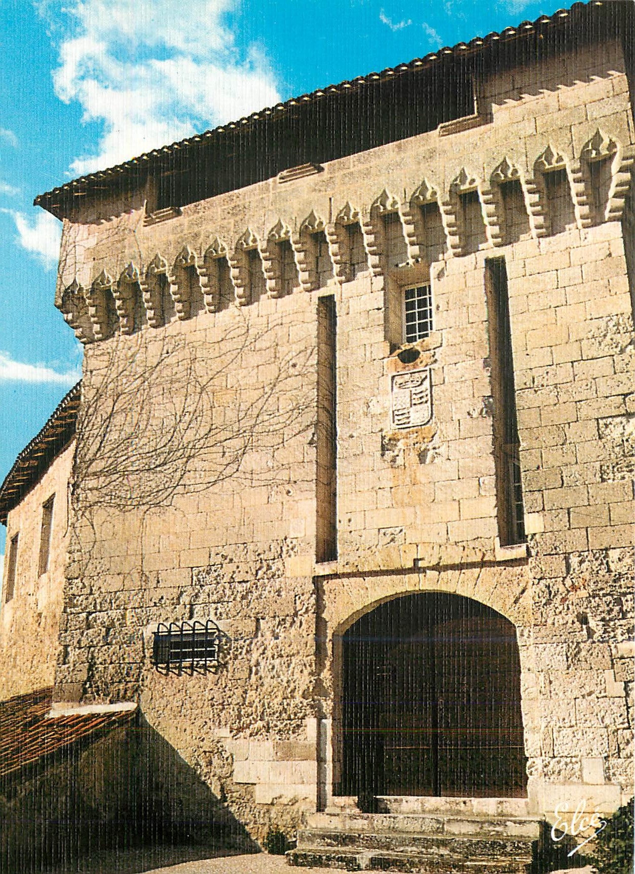 CPM Aubeterre sur Dronne La porte principale du chateau 