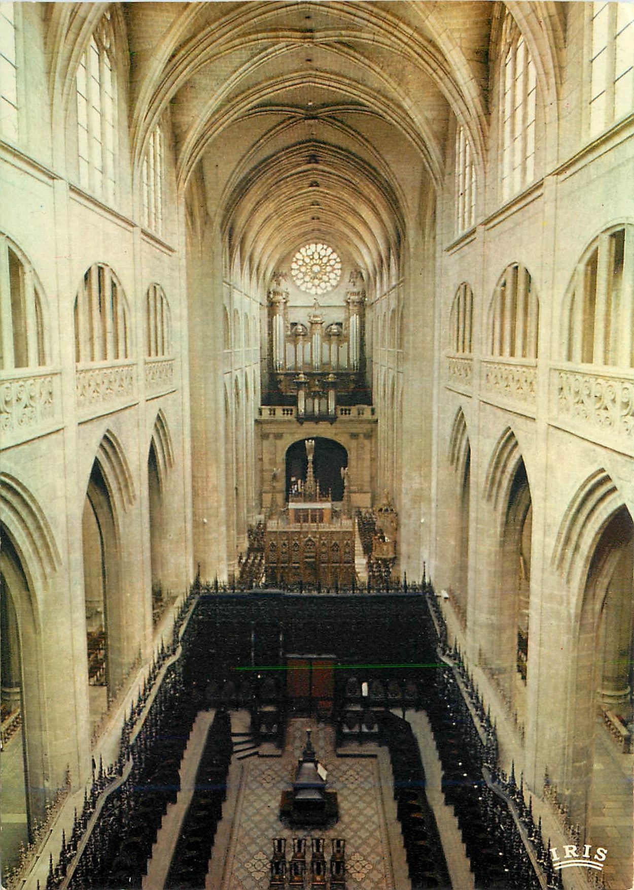 CPM Auch Gers Capitale de la Gascogne La Cathedrale Sainte Marie La nef 