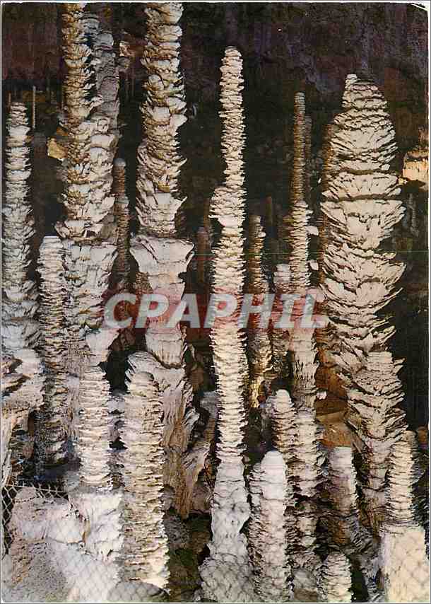 L'Aven Armand — Le Palmier et groupe de stalagmites — Éditions du Cairet