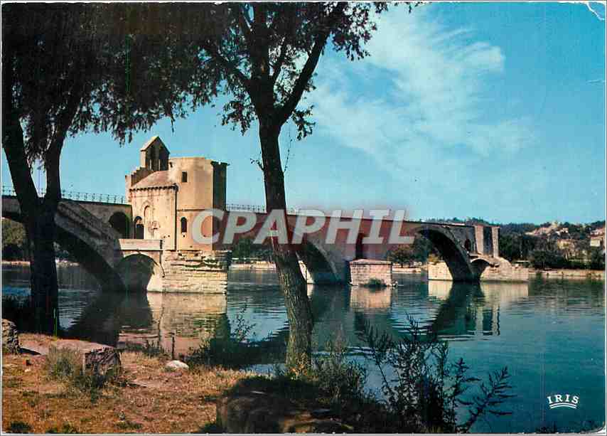 Pont Saint-Bénézet — Avignon (Vaucluse) — IRIS