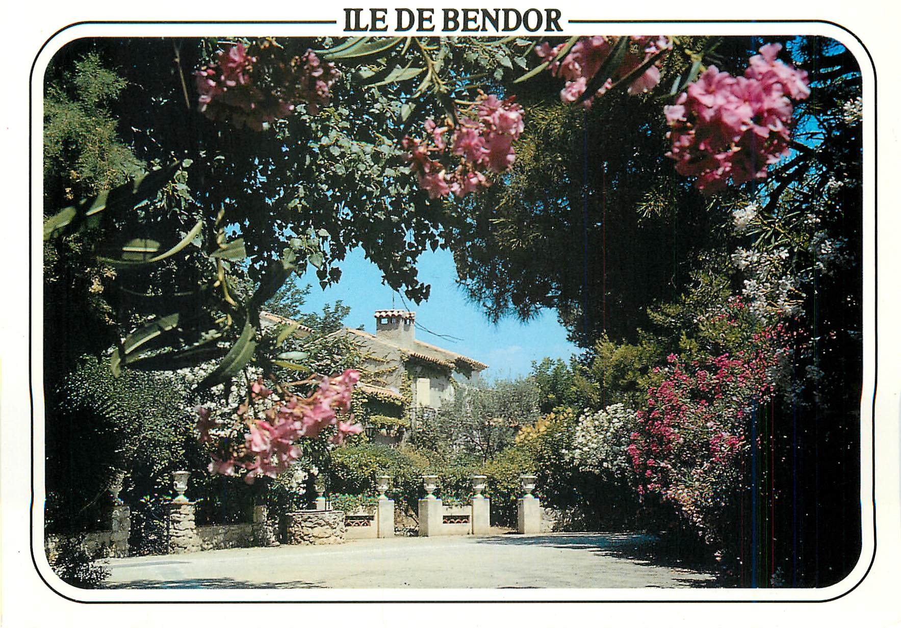 CPM Ile de Bendor Bandol Lauriers roses et blancs de l'ile de Bendor 