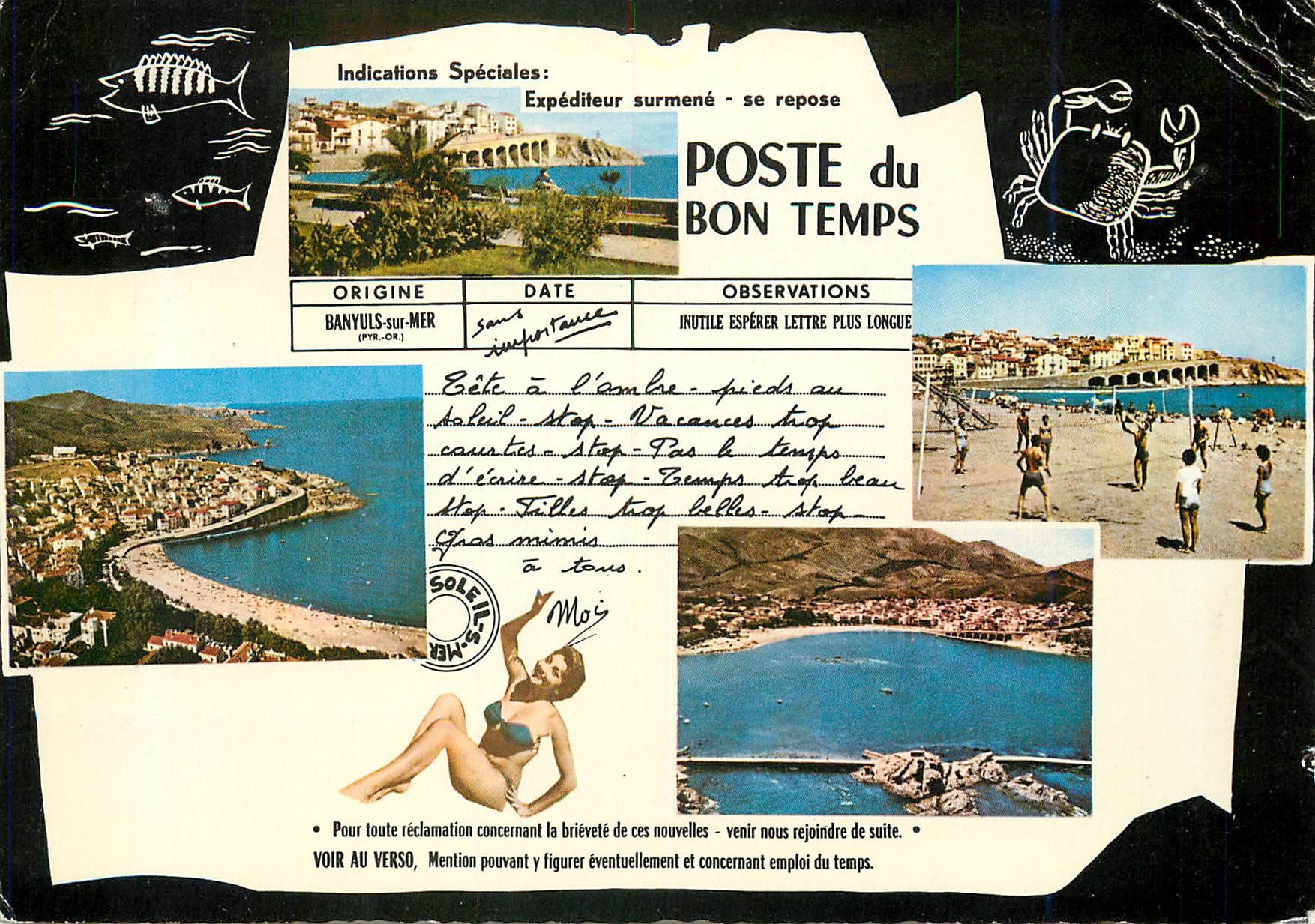 CPM La Cote Vermeille Banyuls sur Mer Pyr Or Volley Ball Volley-Ball
