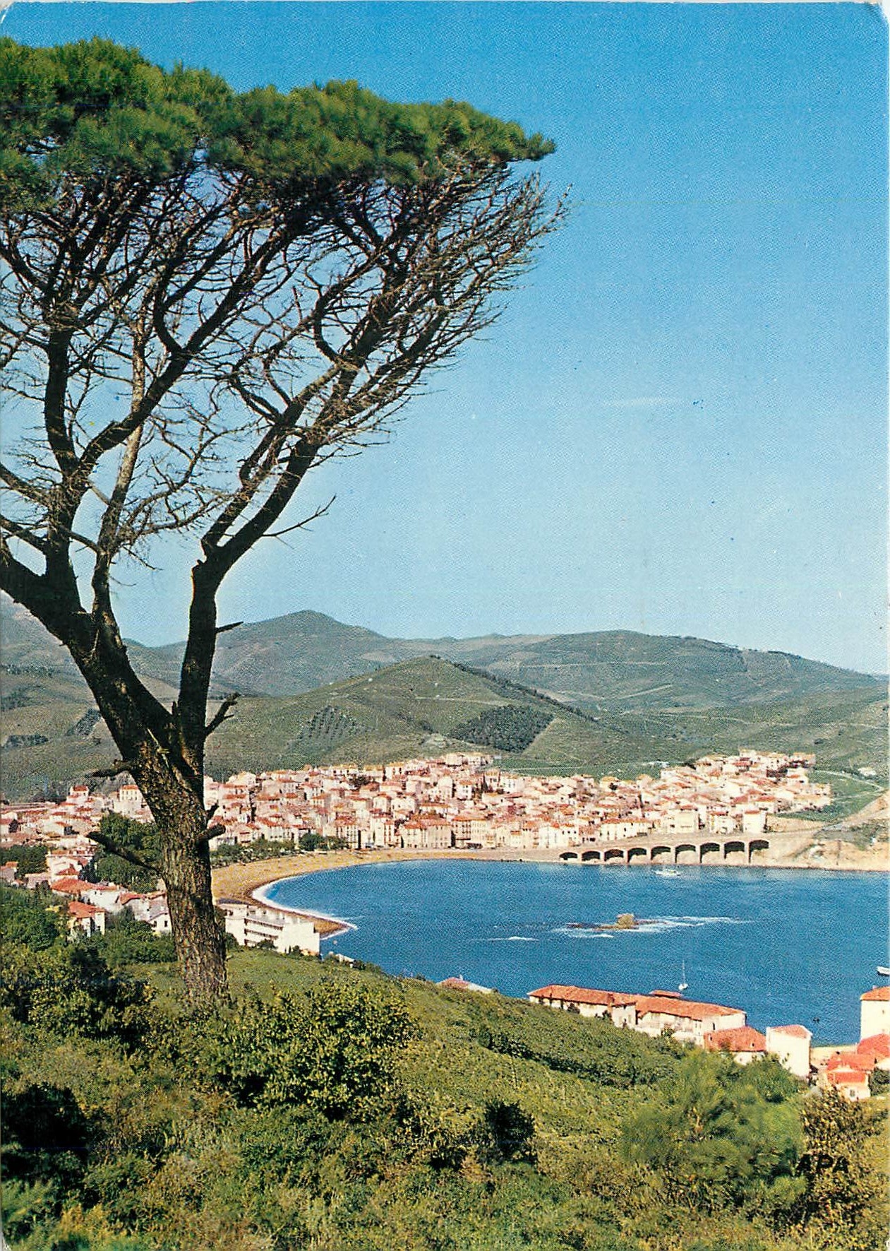 CPM Banyuls sur Mer PO Vue panoramique sur la Rade la Plage et la Ville 