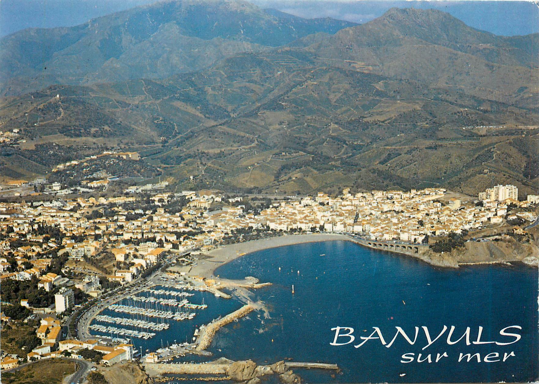 CPM Banyuls sur Mer Vue aerienne la baie 