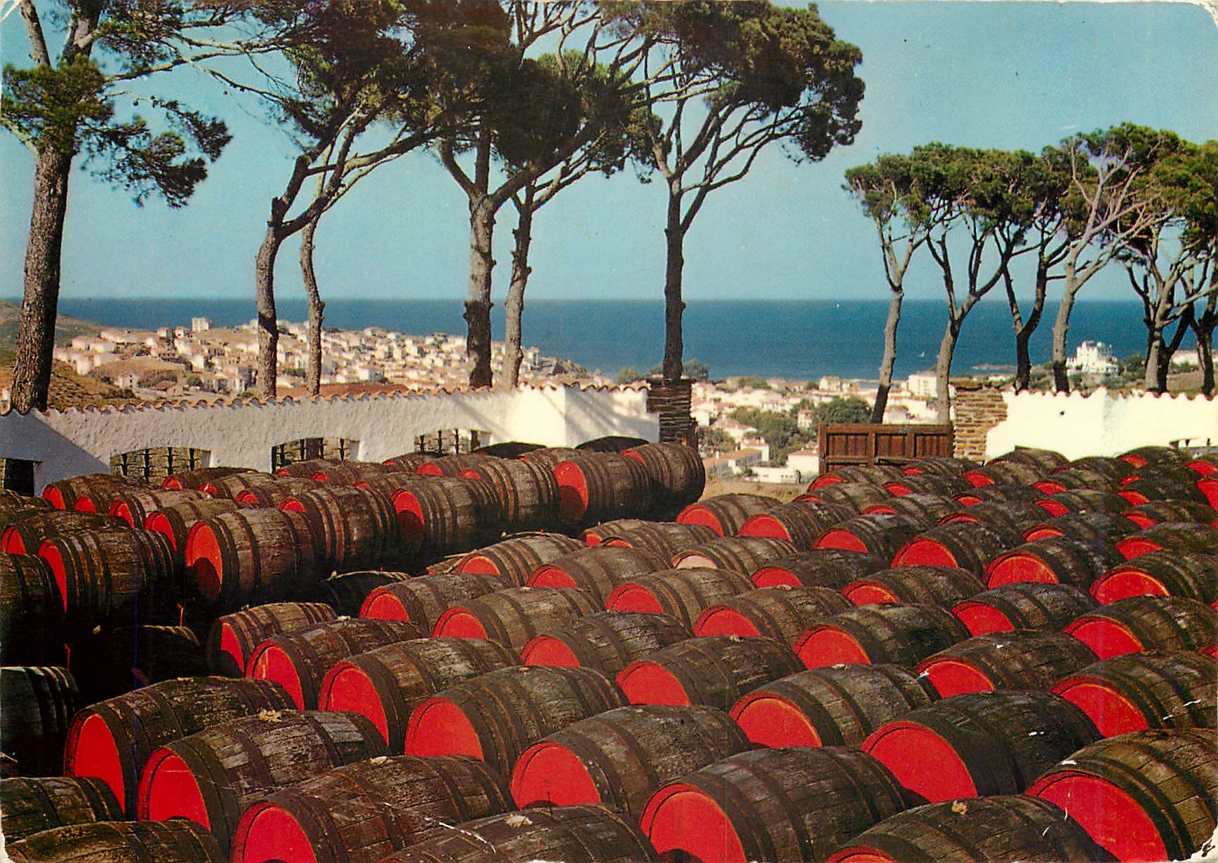 CPM Banyuls sur Mer PO Le Haut Lieu de Banyuls et vue sur la ville 