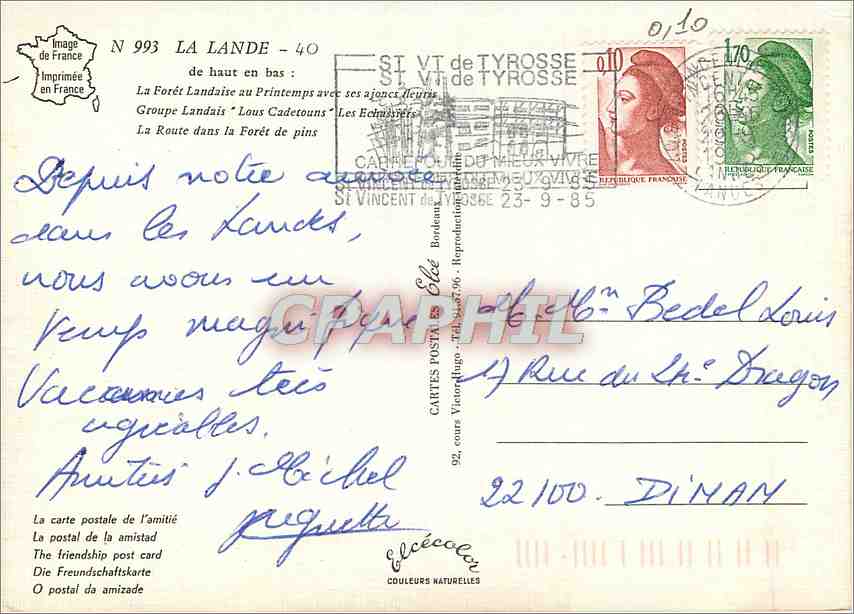 CPM La Lande de haut en bas la Foret Landaise au printemps avec ses a joncs fleuris  — Rückseite