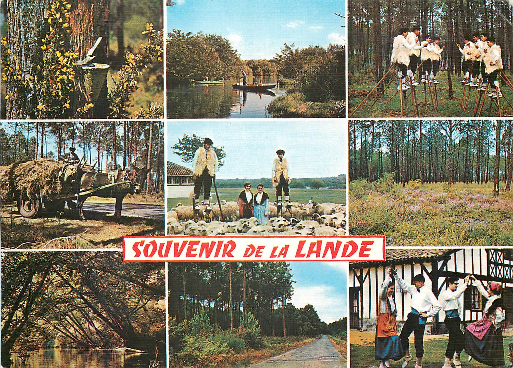CPM La Lande de gauche a droite La Foret Landaise un Joli Lac 