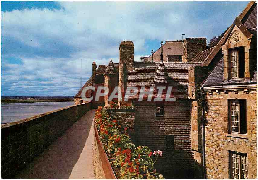 CPM Le Mont Saint Michel Manche La Maison de l'Artichaut 