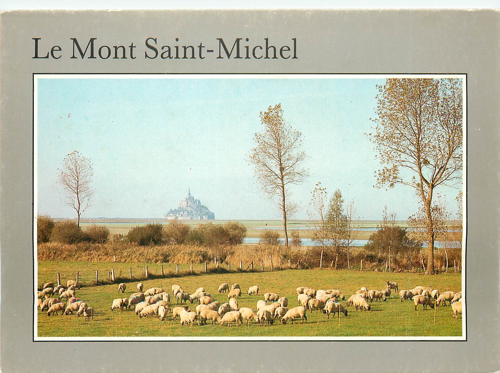 Mont Saint-Michel — Ansicht mit Schafherde — Éditions d'Art JACK
