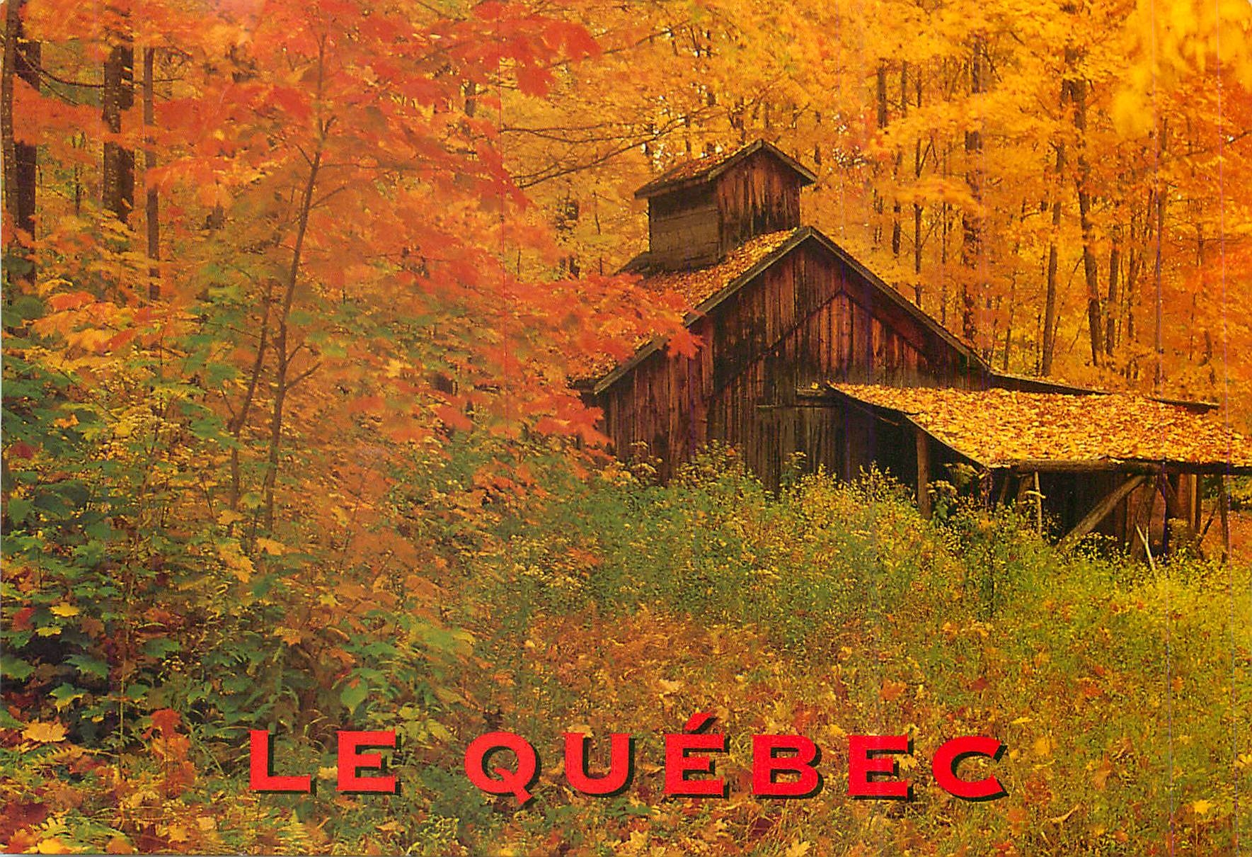 CPM La Ville de Quebec La campagne quebecoise resplendissante des couleurs de l'automne 