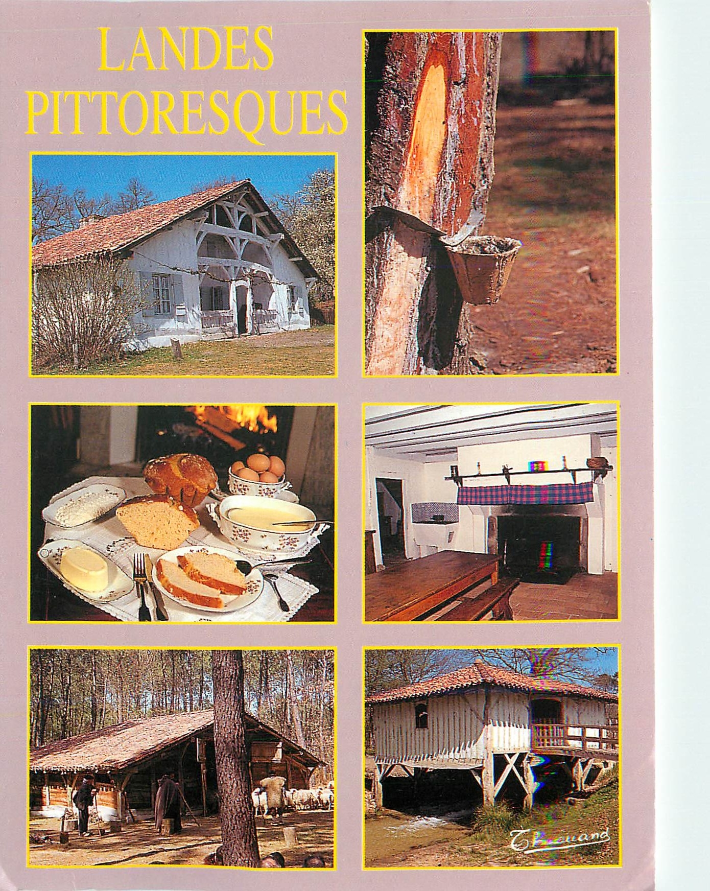 Landes pittoresques — Éditeur Chouand, n° 401837