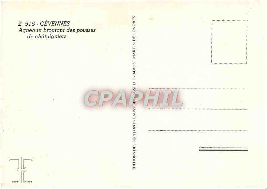 CPM Cevennes Agneaux broutang des pousses de chataigniers  — Back