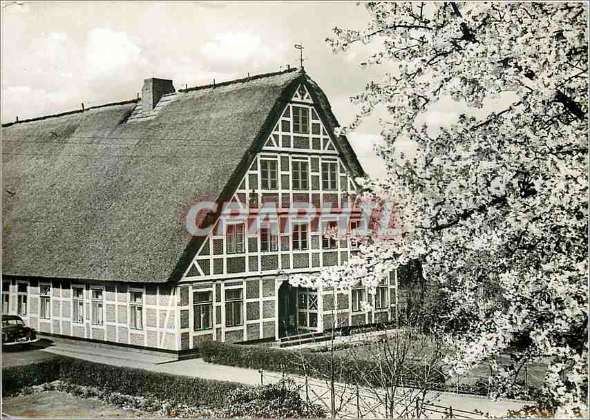 CPM Borstel 