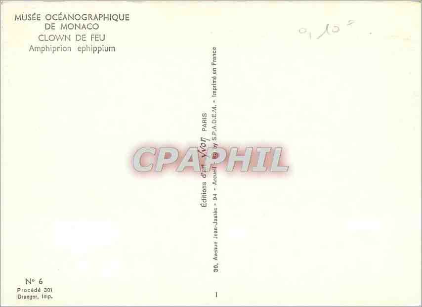 CPM Musee Oceanographique de Monaco Clown de Feu Amphiprion ephippium  — Verso
