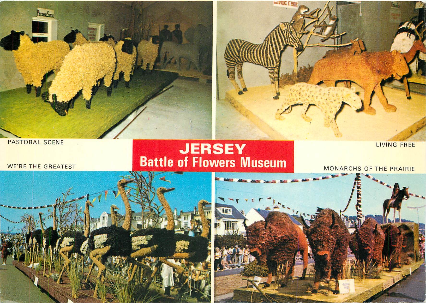 CPM Jersey Battle of Flowers Museum La Robeline Mont des Corvees St Ouen Zebre Lion Tigre Autruche B