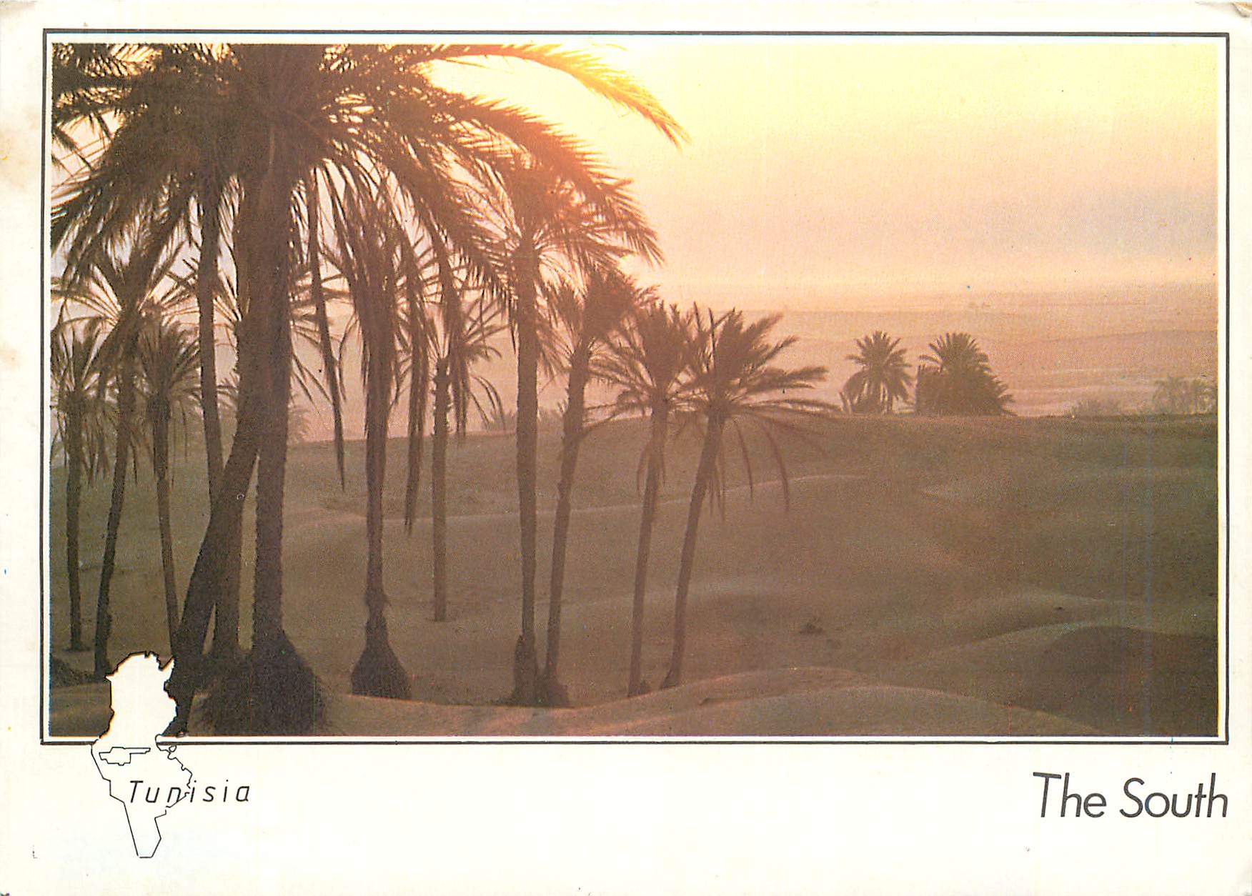 CPM Tunisia The South Crepuscule sur le Sahara 