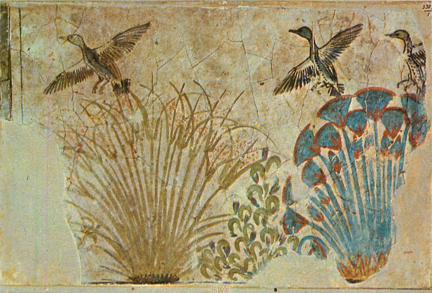 Papyrus, lotus flowers, ducks — floor of Palace at Amarna 1364 B.C. — Lehterock Bookshop, Cairo