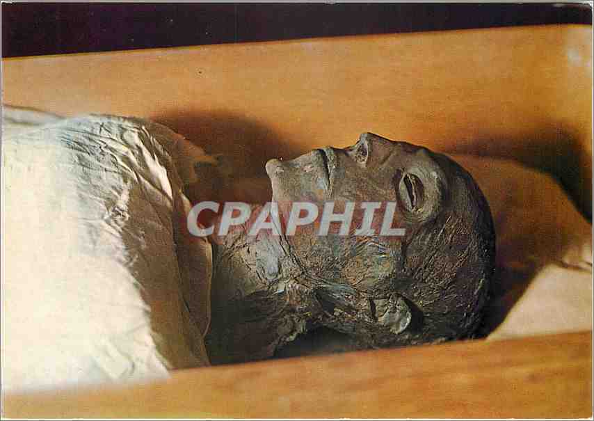 CPM Le Musee Egyptien Cairo Head of Mummy of King Sehti I 